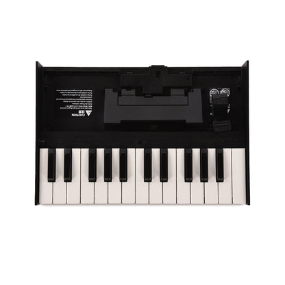 Roland Boutique K-25m Portable Keyboard Effects and Pedals / Controllers, Volume and Expression