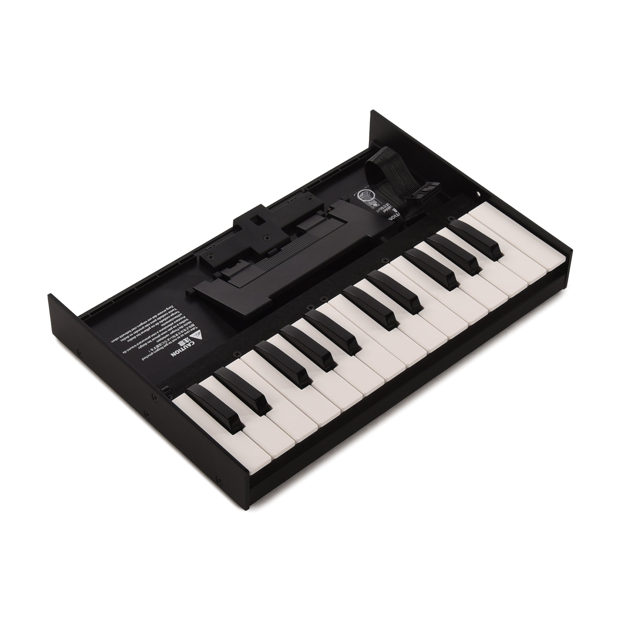 Roland Boutique K-25m Portable Keyboard Effects and Pedals / Controllers, Volume and Expression
