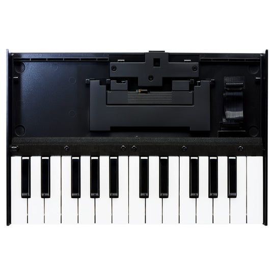 Roland Boutique K-25m Portable Keyboard Effects and Pedals / Controllers, Volume and Expression