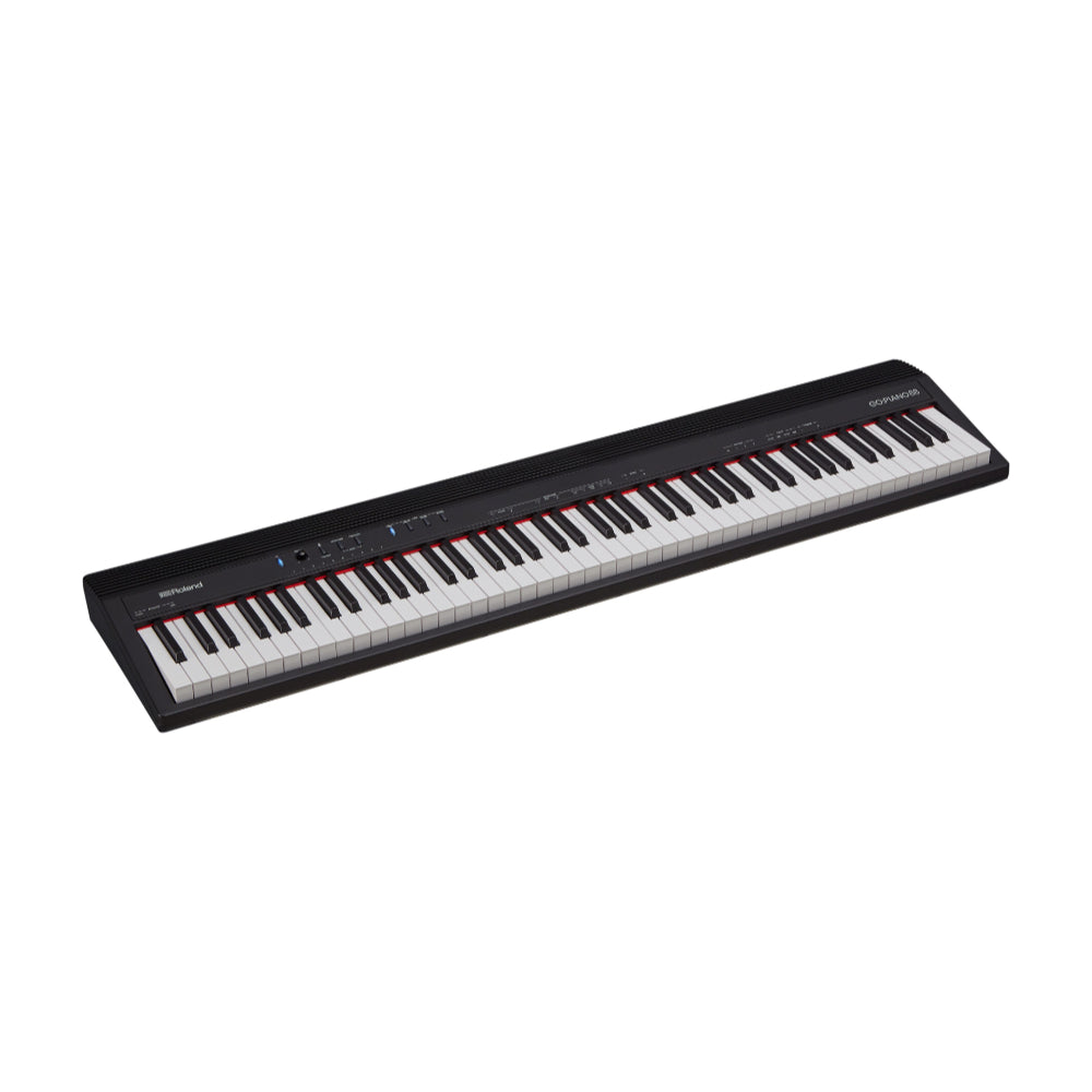 Roland GO:PIANO 88 GO-88PX Digital Piano Keyboards and Synths / Electric Pianos