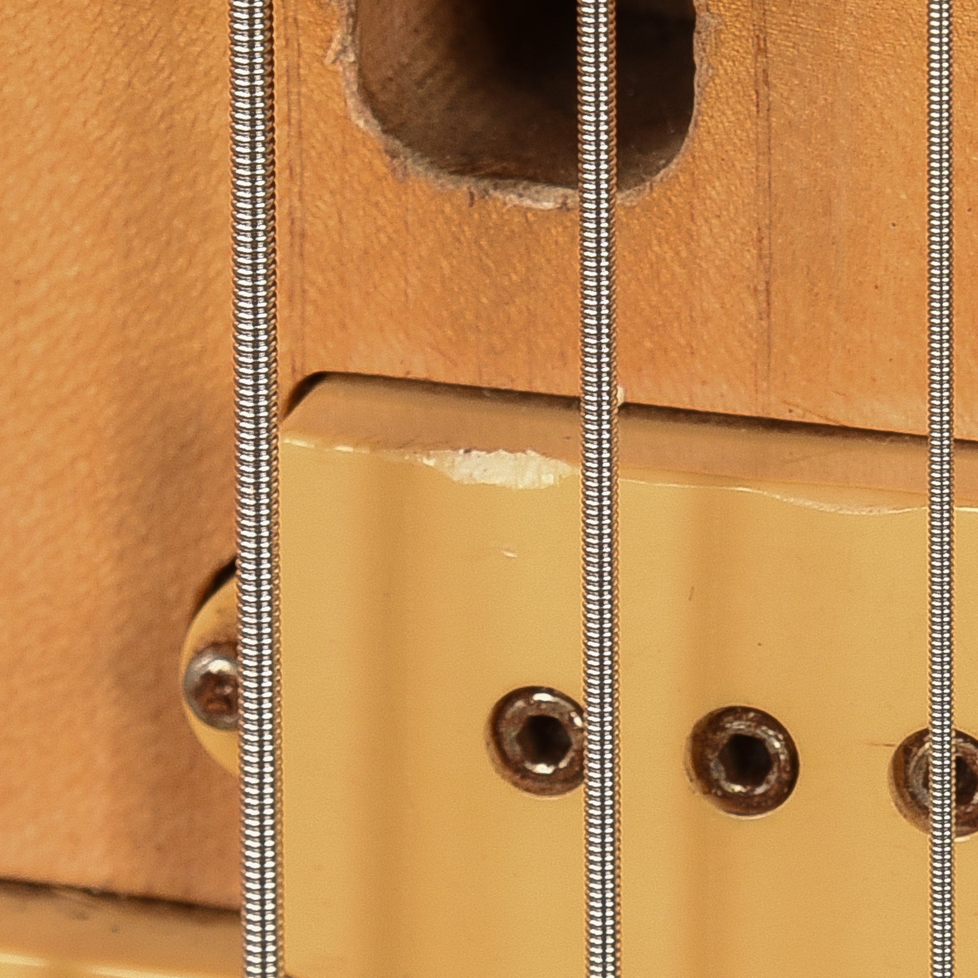 S. D. Curlee Bell Bass  1970s Bass Guitars / 5-String or More