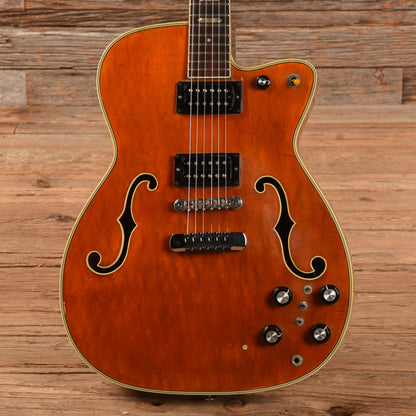 Santly 2 Pickup Hollwobody Sunburst Electric Guitars / Hollow Body