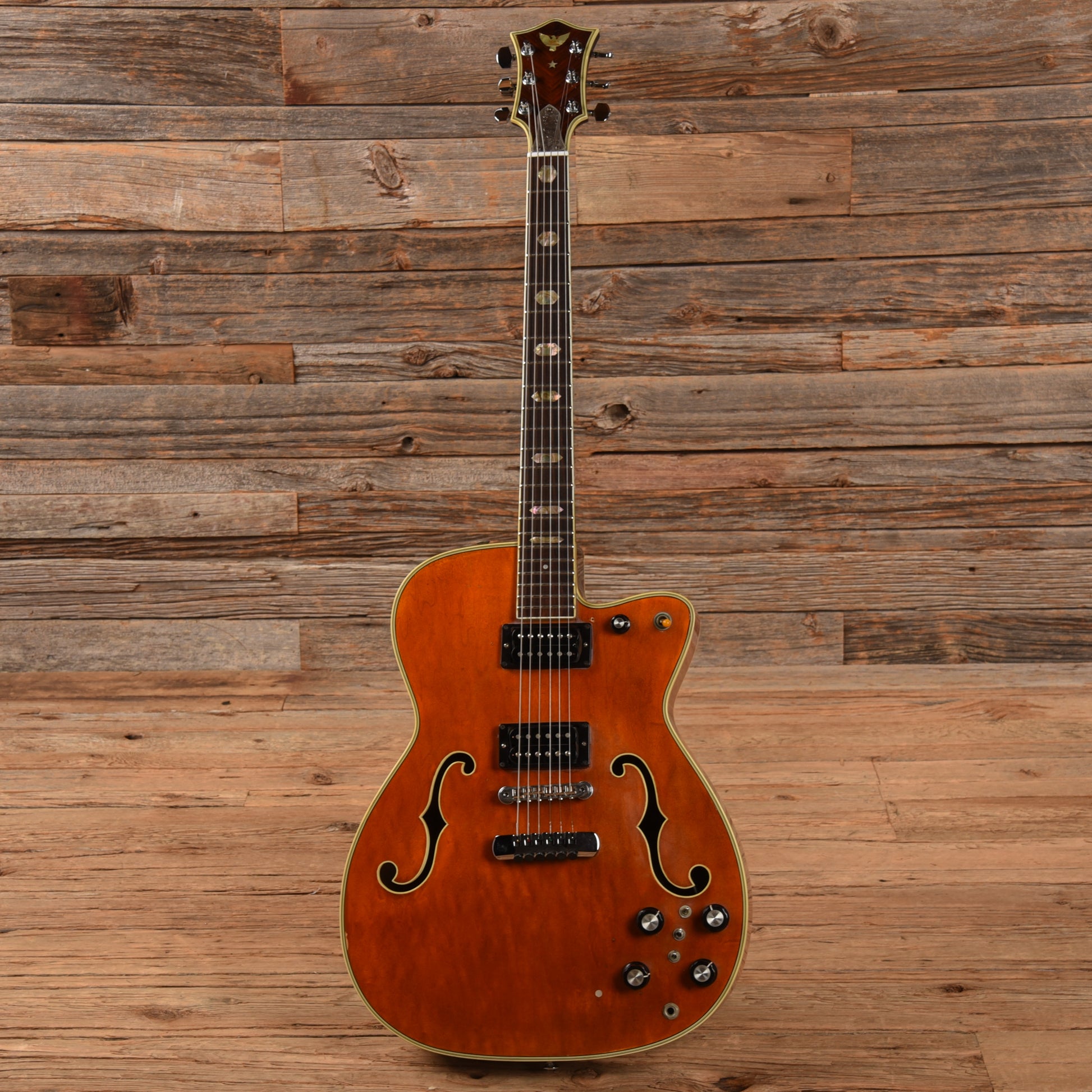 Santly 2 Pickup Hollwobody Sunburst Electric Guitars / Hollow Body
