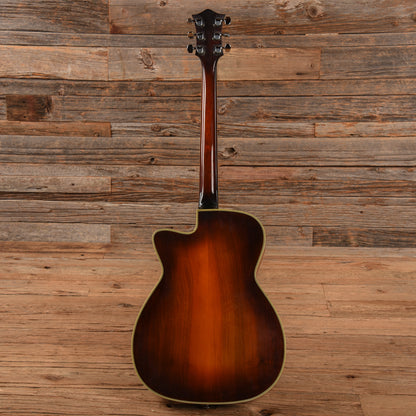 Santly 2 Pickup Hollwobody Sunburst Electric Guitars / Hollow Body