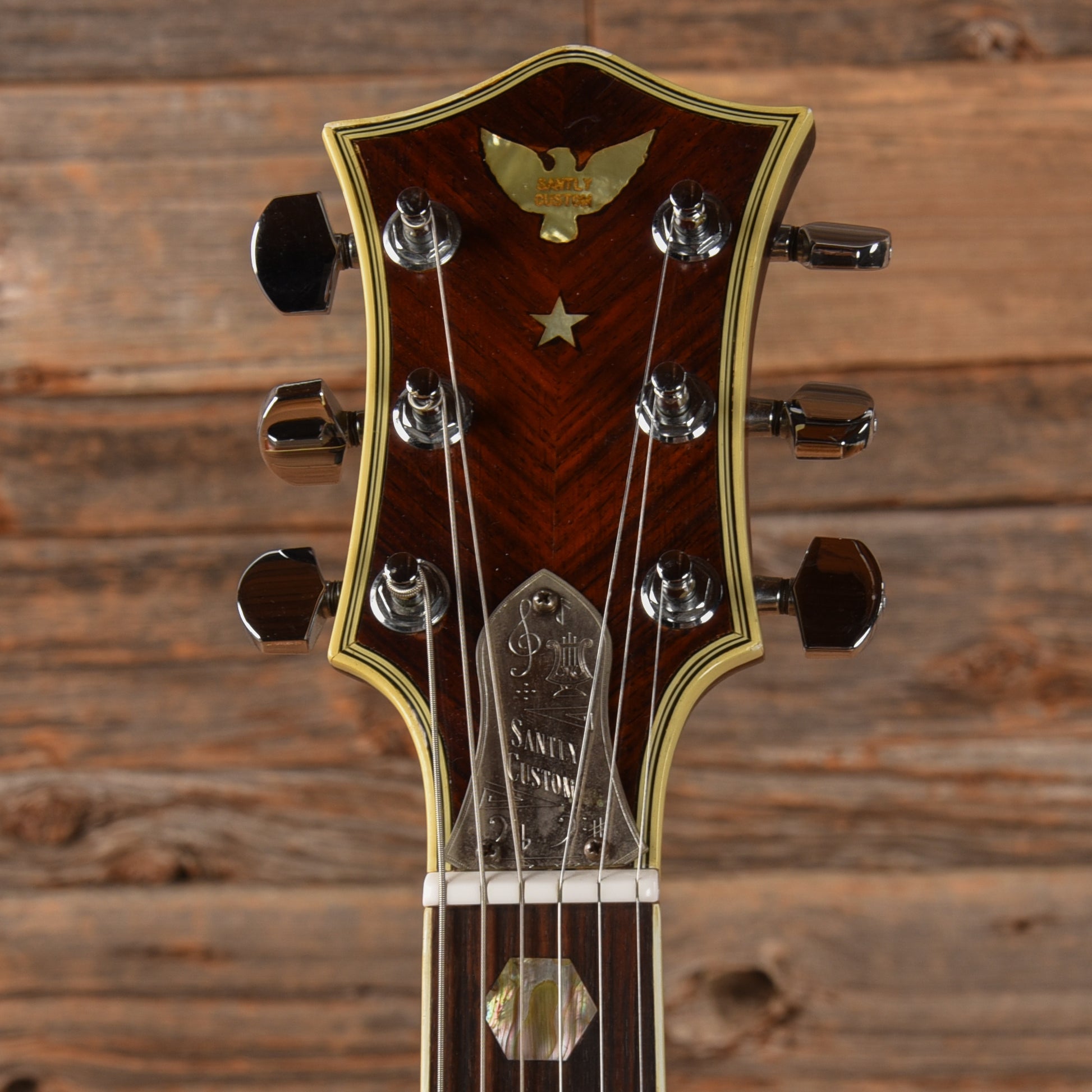 Santly 2 Pickup Hollwobody Sunburst Electric Guitars / Hollow Body