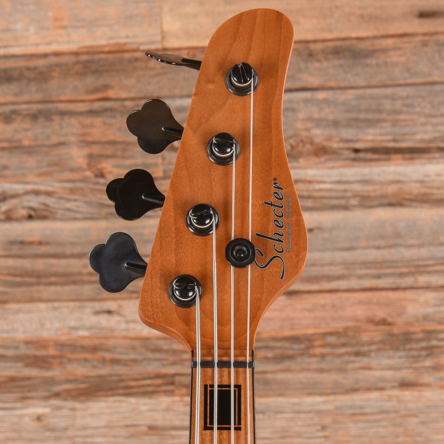Schecter Model-T 4 Exotic Black Limba  2023 Bass Guitars / 4-String