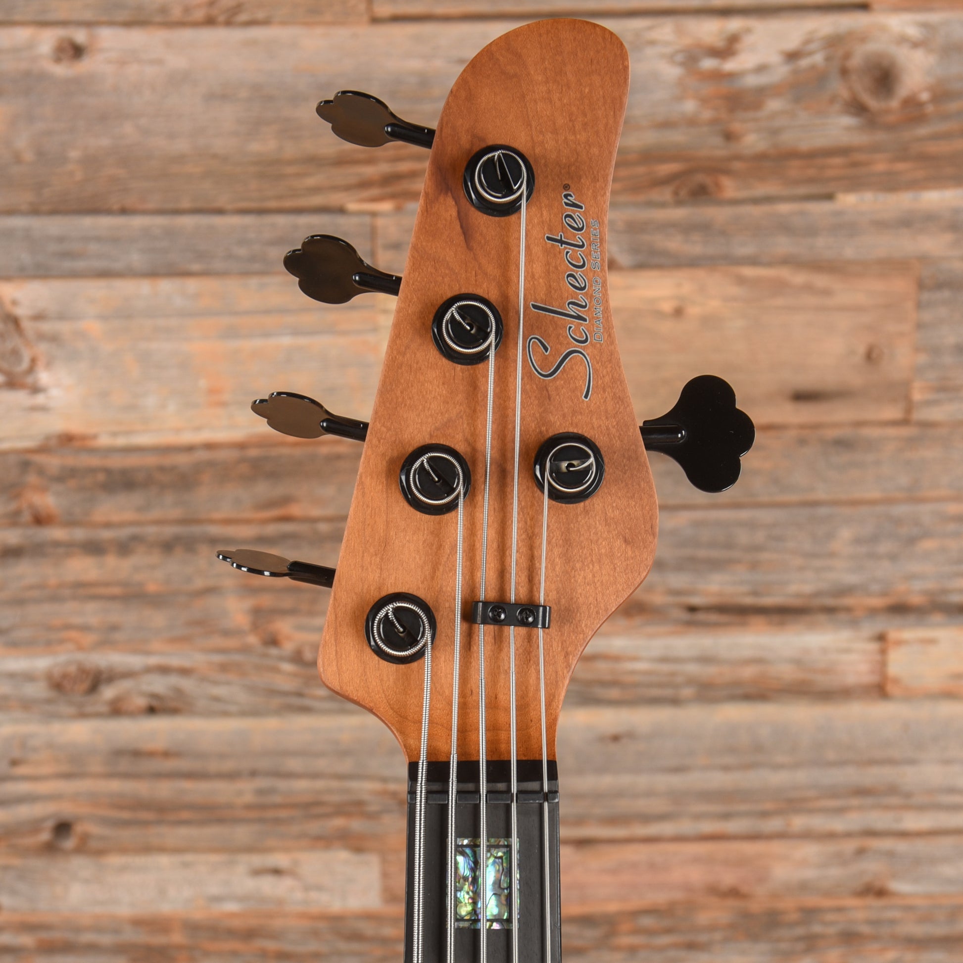 Schecter Model T Exotic Black Limba 2021 Bass Guitars / 5-String or More
