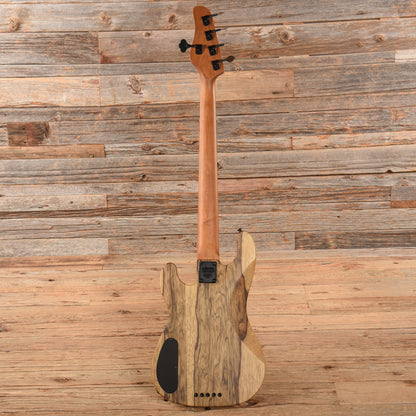 Schecter Model T Exotic Black Limba 2021 Bass Guitars / 5-String or More