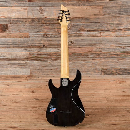 Schecter Diamond Series Damien Elite Trans-Black 2011 Electric Guitars