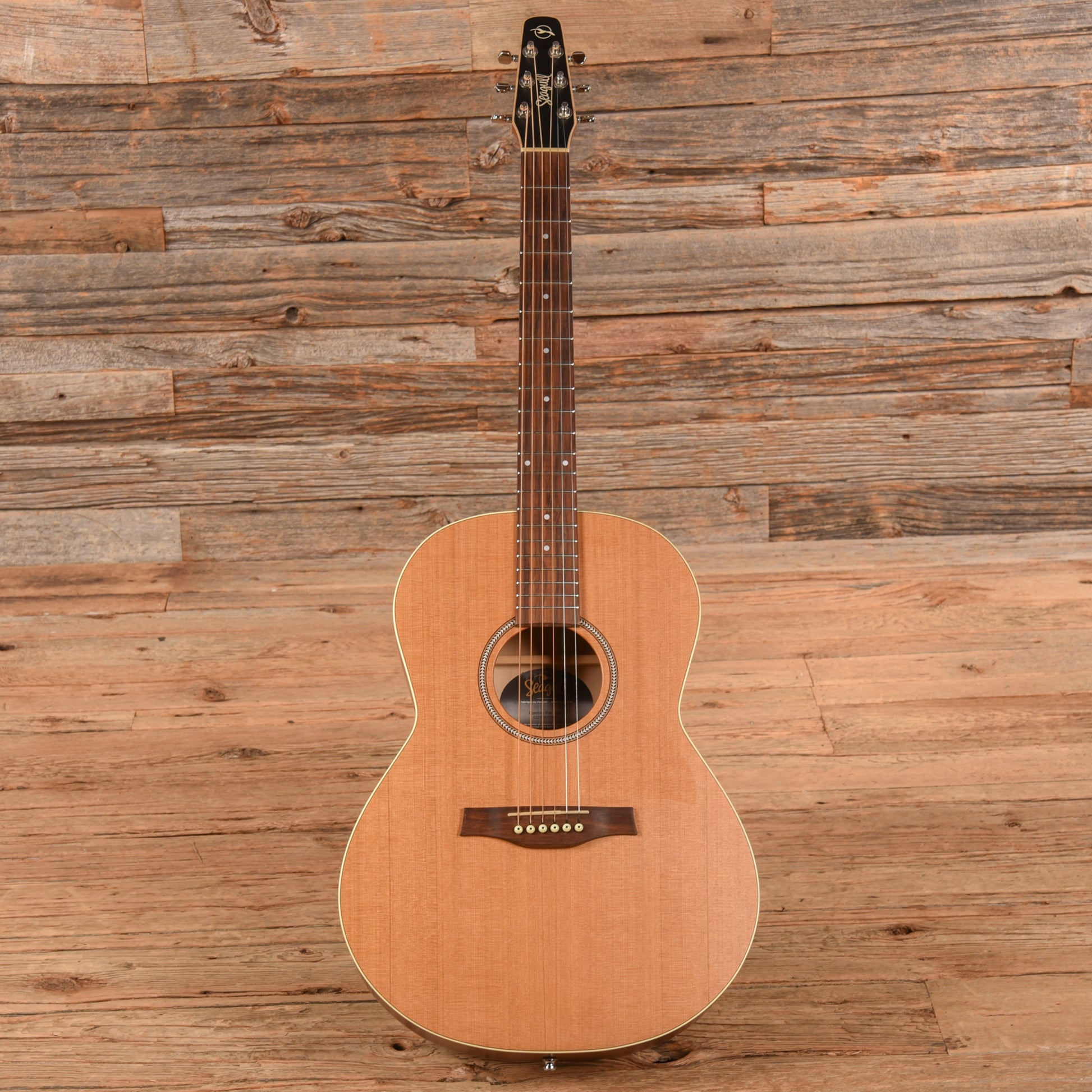 Seagull Coastline Folk Cedar Natural Acoustic Guitars / Concert