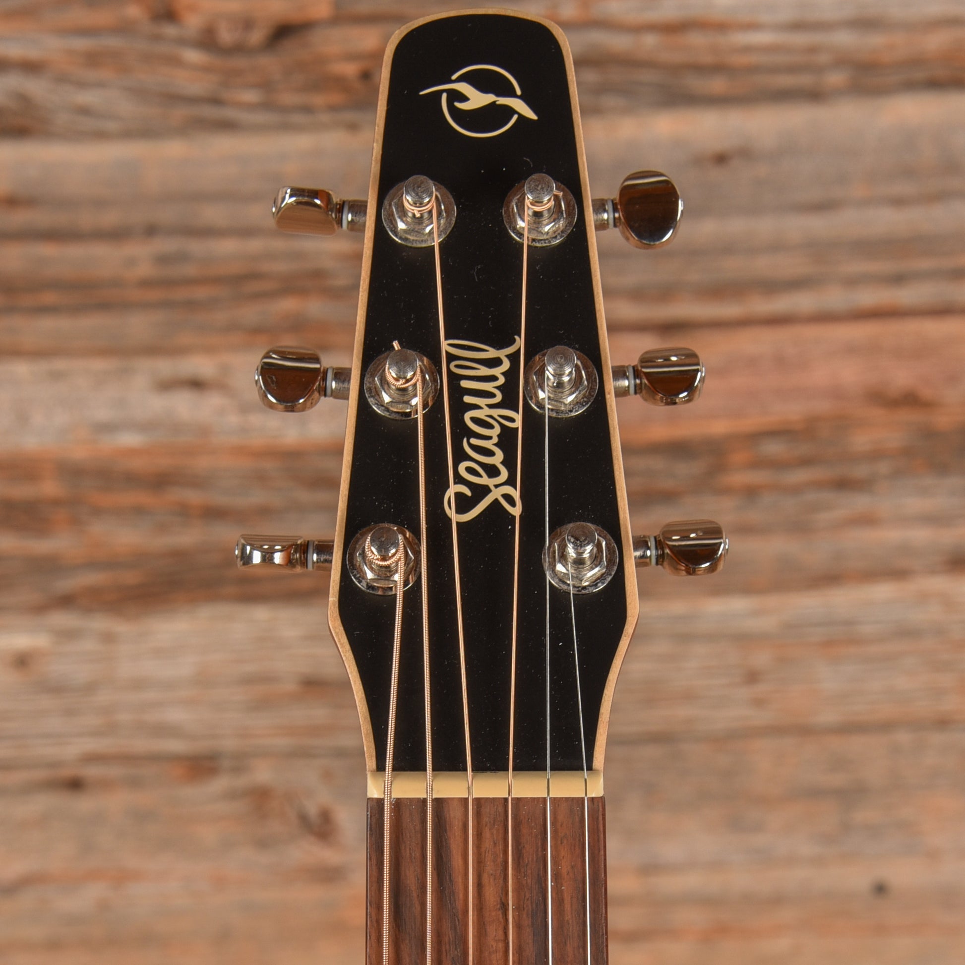 Seagull Coastline Folk Cedar Natural Acoustic Guitars / Concert