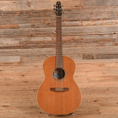 Seagull Coastline S6 Folk Cedar Natural Acoustic Guitars / Concert