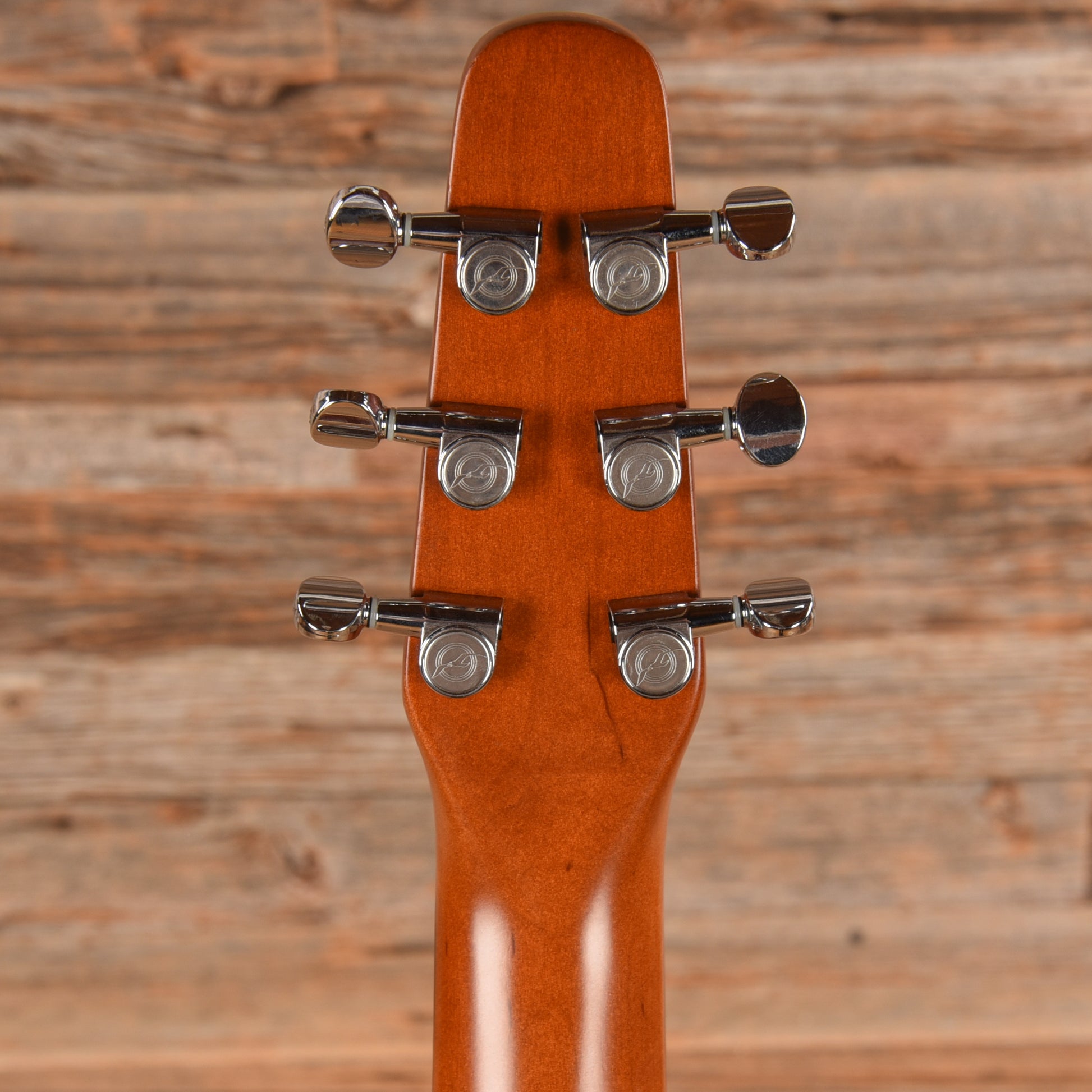 Seagull Coastline S6 Folk Cedar Natural Acoustic Guitars / Concert