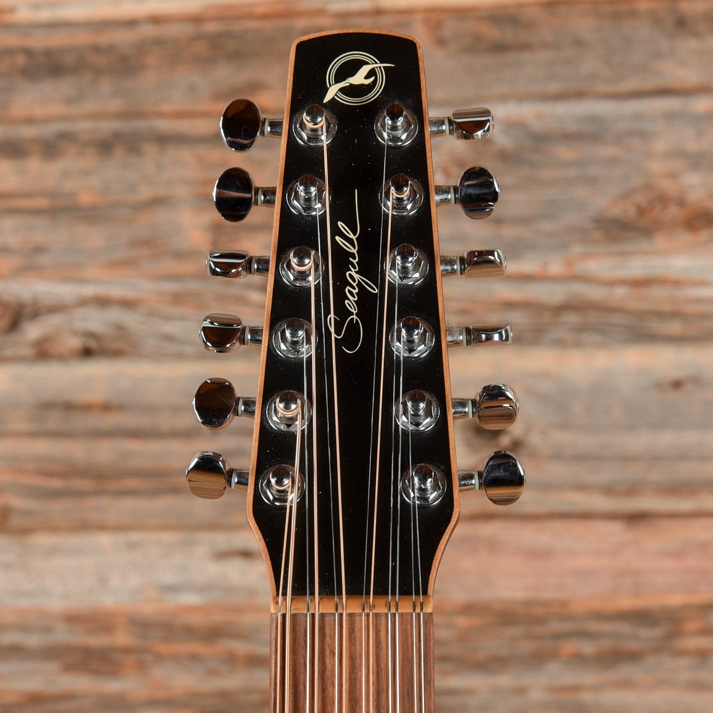 Seagull Coastline S12 Cedar Natural Acoustic Guitars / Dreadnought