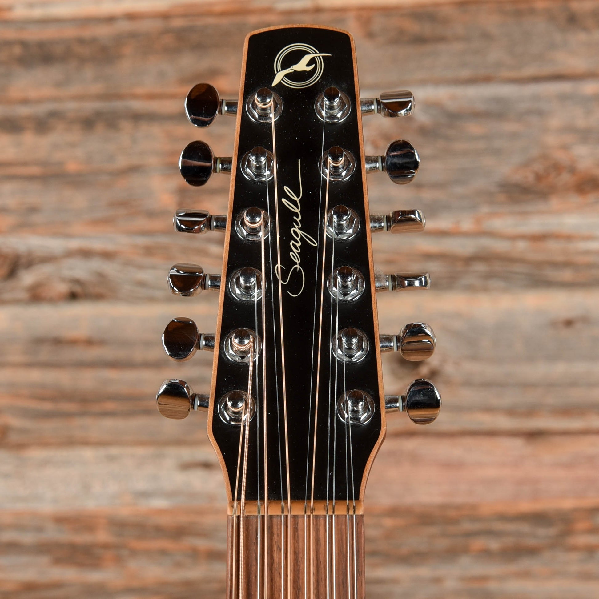 Seagull Coastline S12 Cedar Natural Acoustic Guitars / Dreadnought