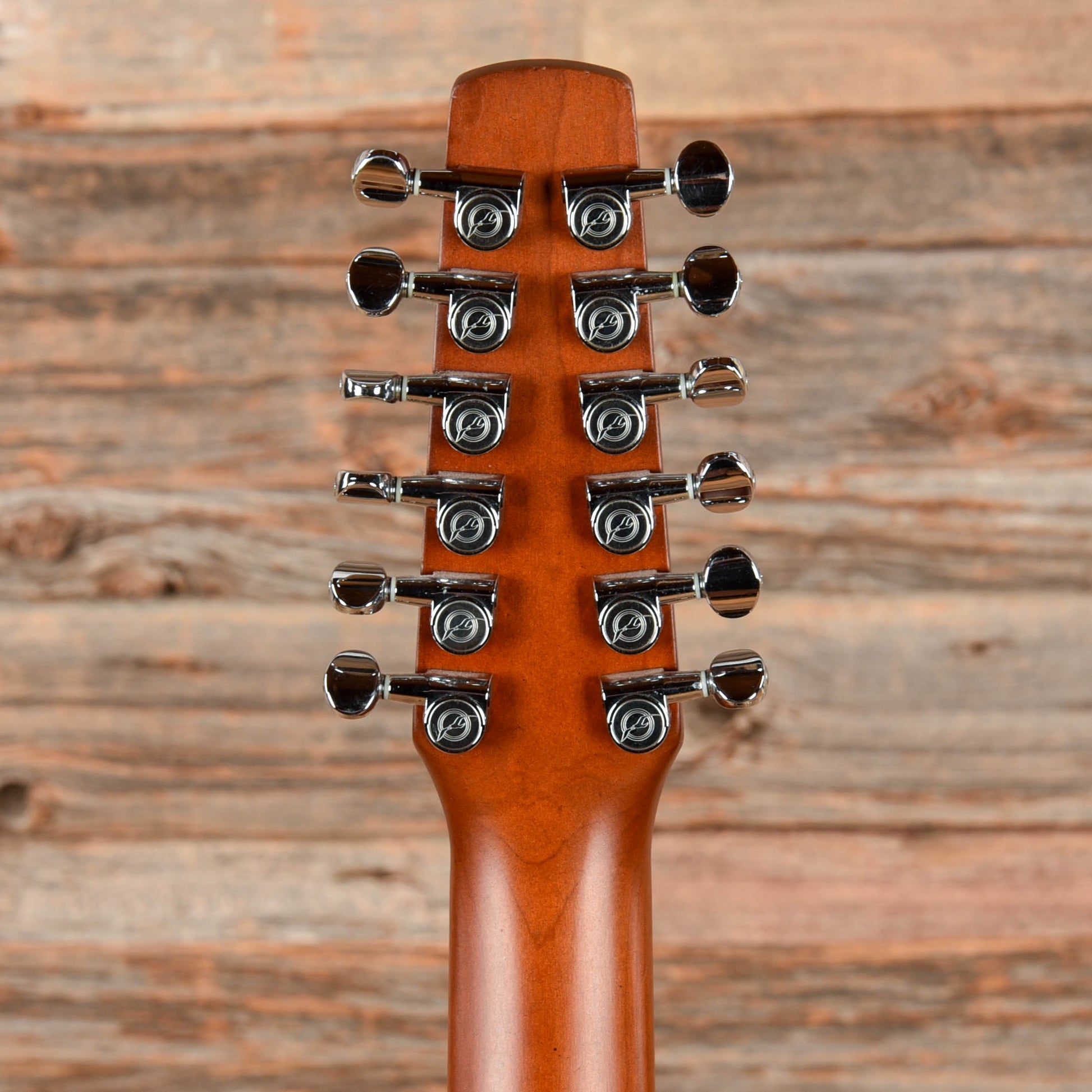 Seagull Coastline S12 Cedar Natural Acoustic Guitars / Dreadnought