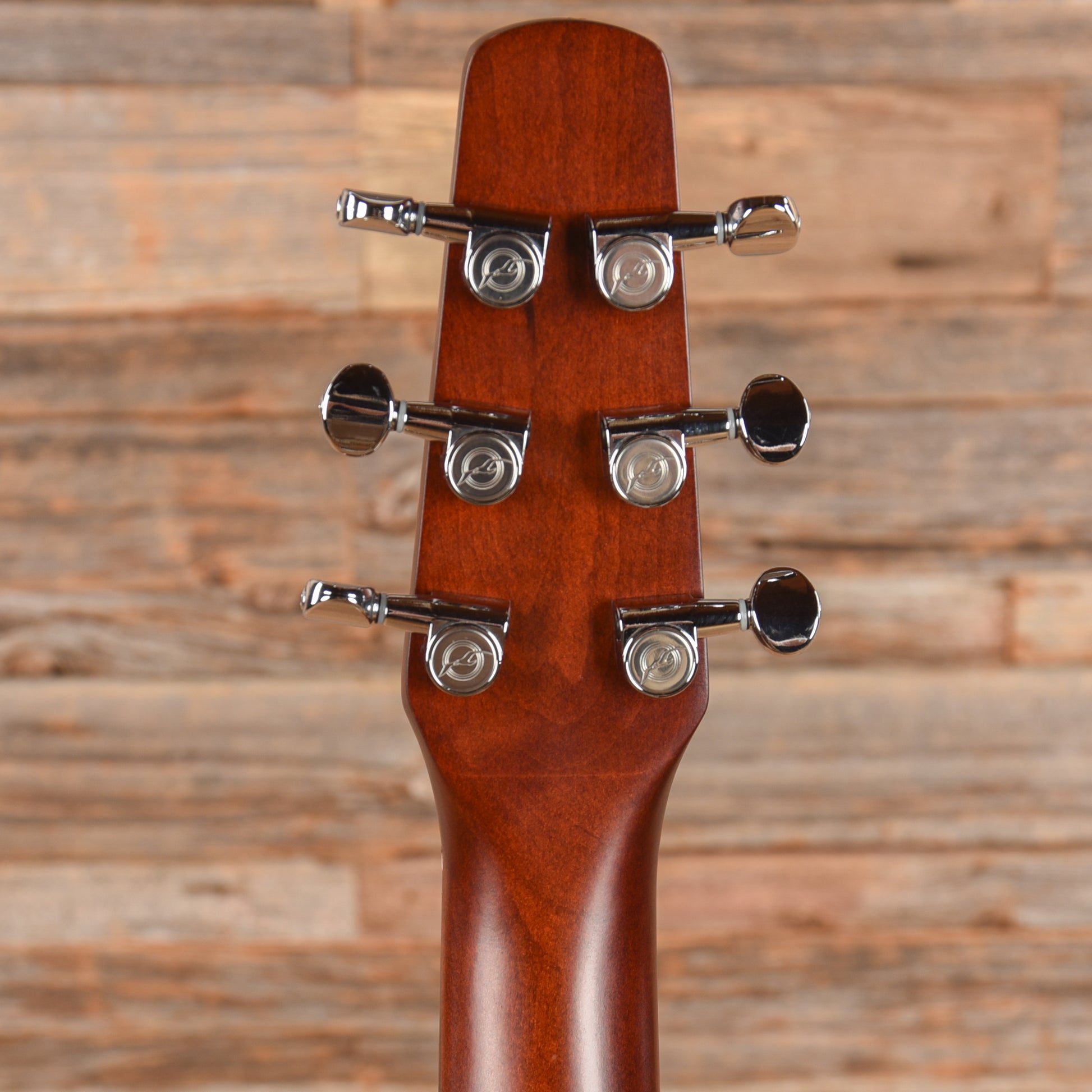 Seagull Entourage CW Presys II Sunburst Acoustic Guitars / Dreadnought