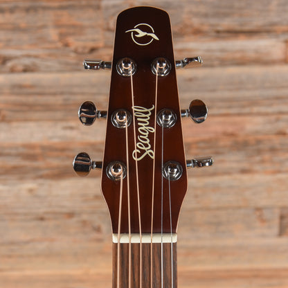 Seagull Entourage CW Presys II Sunburst Acoustic Guitars / Dreadnought
