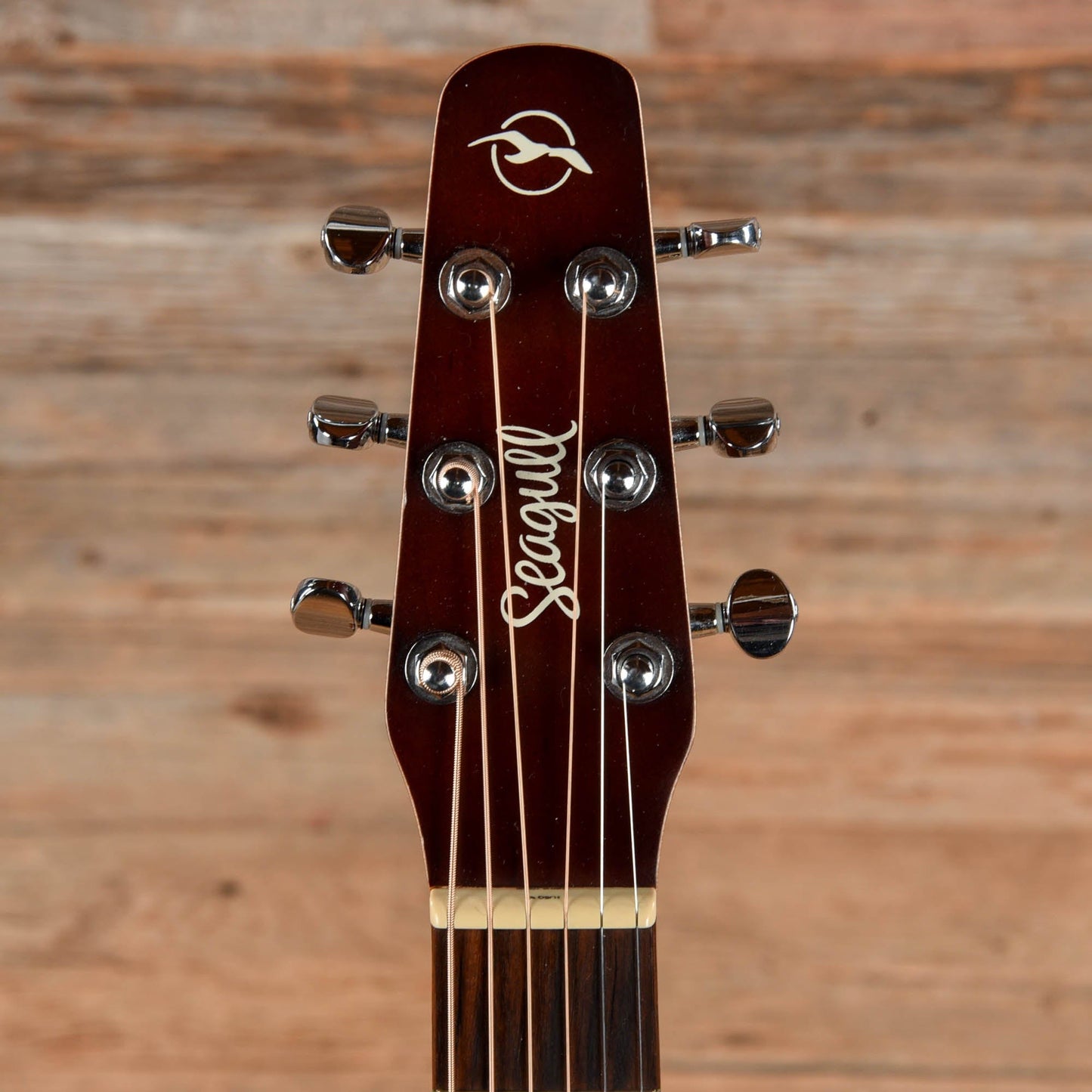 Seagull Entourage Dreadnought CW QIT Autumn Burst Acoustic Guitars / Dreadnought