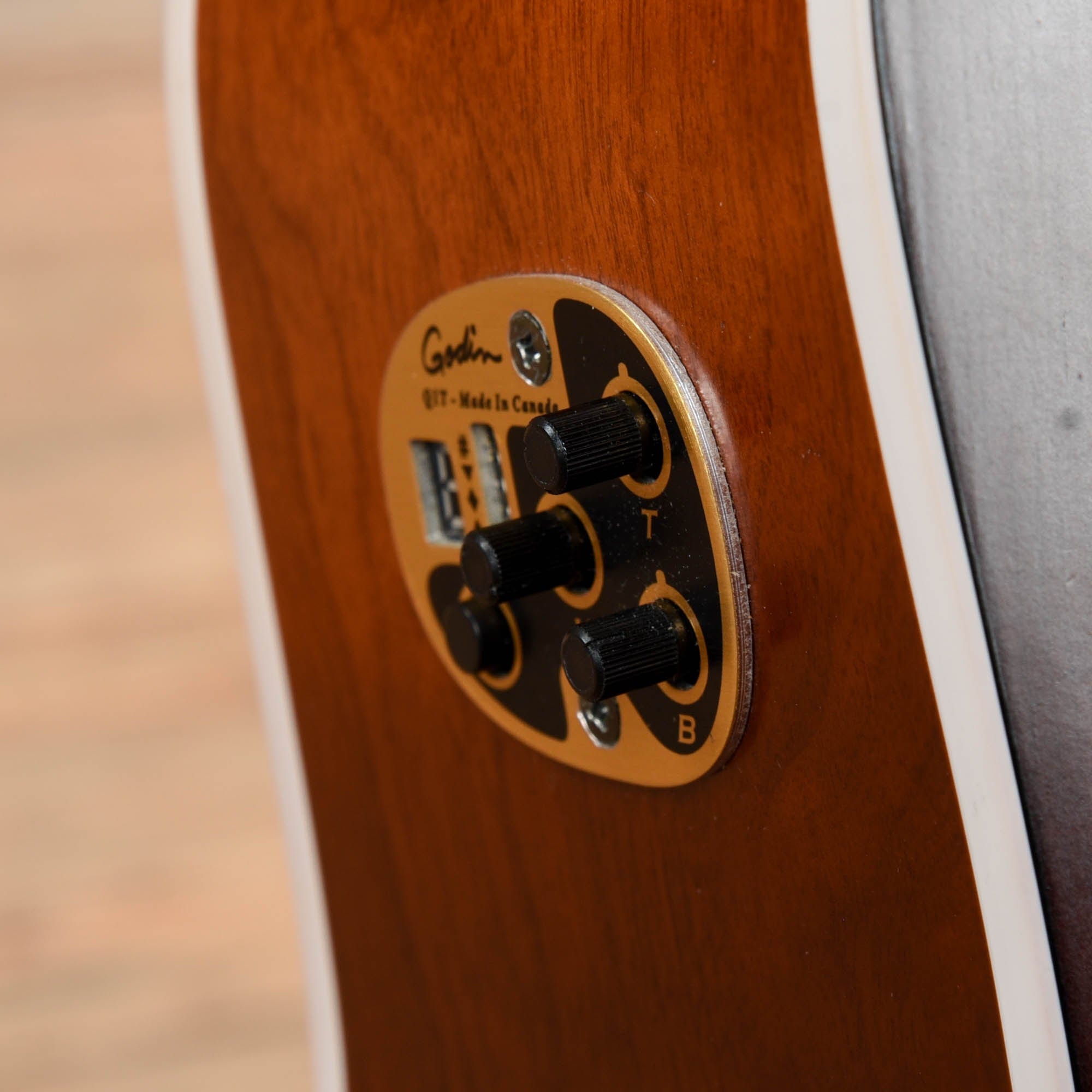 Seagull Entourage Dreadnought CW QIT Autumn Burst Acoustic Guitars / Dreadnought