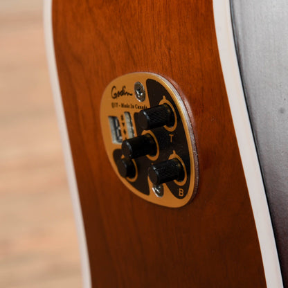 Seagull Entourage Dreadnought CW QIT Autumn Burst Acoustic Guitars / Dreadnought