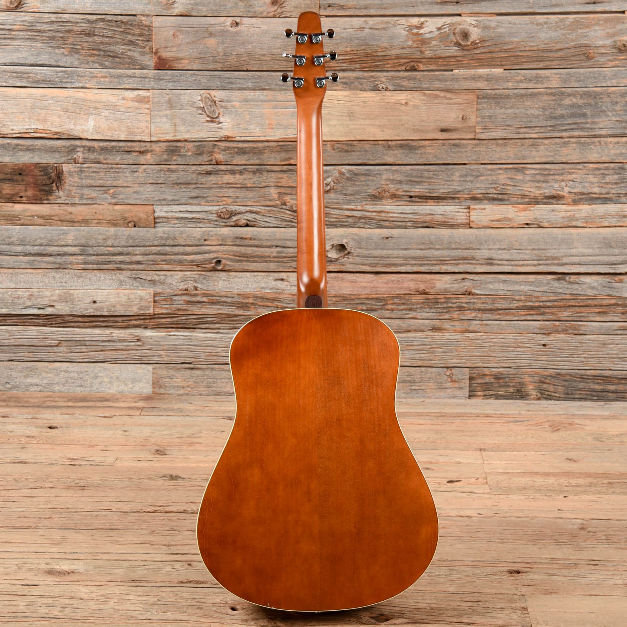 Seagull Entourage Rustic Sunburst Acoustic Guitars / Dreadnought