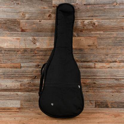 Seagull S6+ Cedar GT Natural Acoustic Guitars