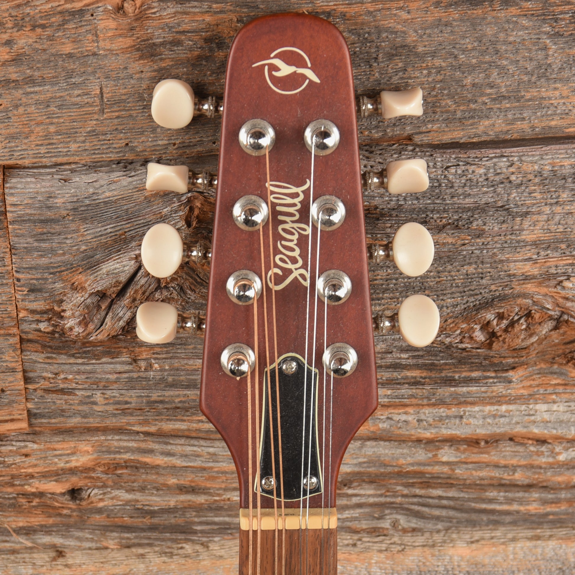 Seagull S8 Burnt Umber SG A-Style Mandolin Sunburst Folk Instruments / Mandolins