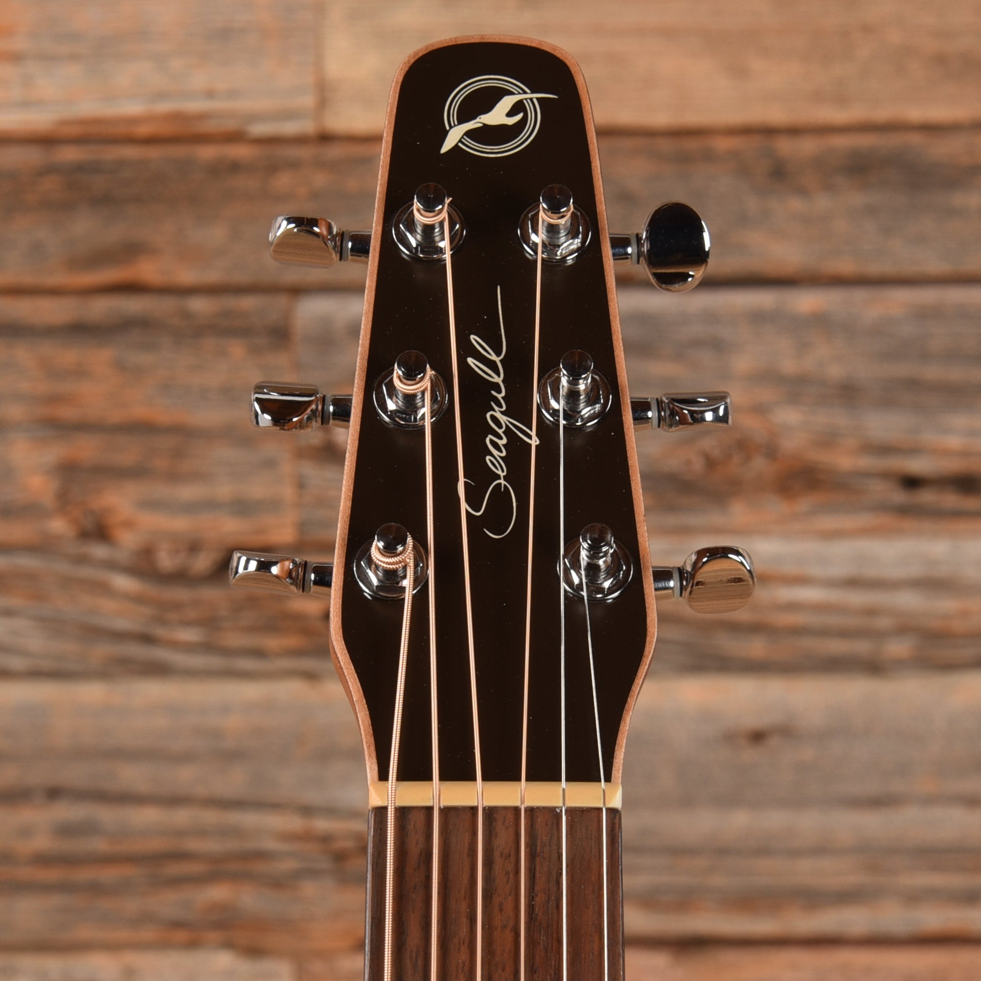 Seagull Coastline S6 Cedar Folk Natural