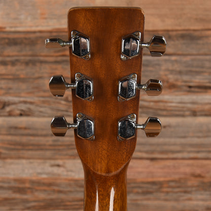 Sigma DM-5 Natural