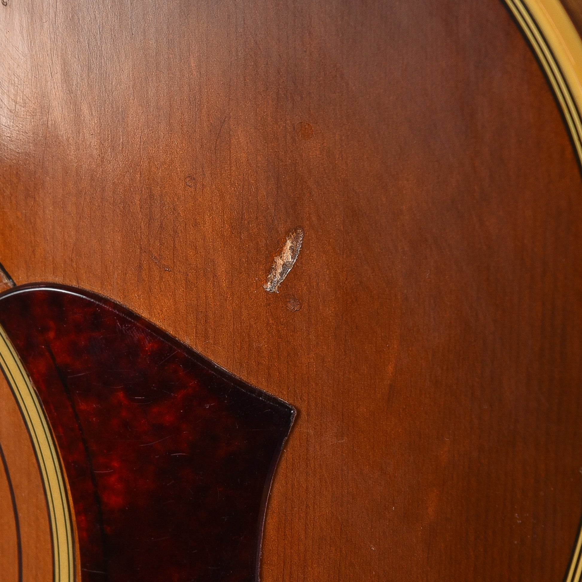 Silvertone 1221 Natural 1971 Acoustic Guitars / Jumbo