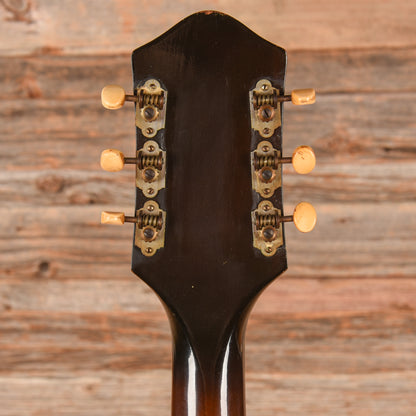 Silvertone H61 Hollowbody Sunburst 1955 Electric Guitars / Hollow Body