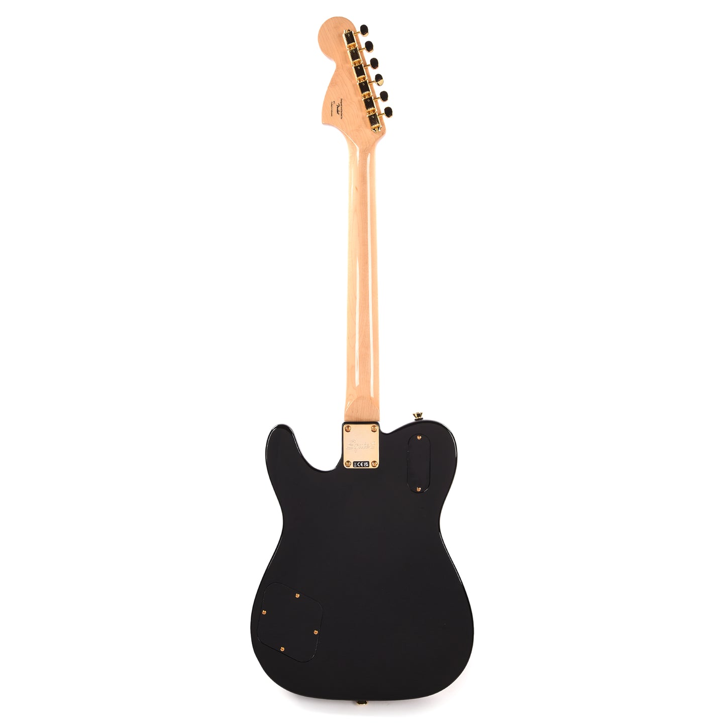 Squier Limited Edition Paranormal Troublemaker Telecaster Deluxe Black Electric Guitars / Solid Body