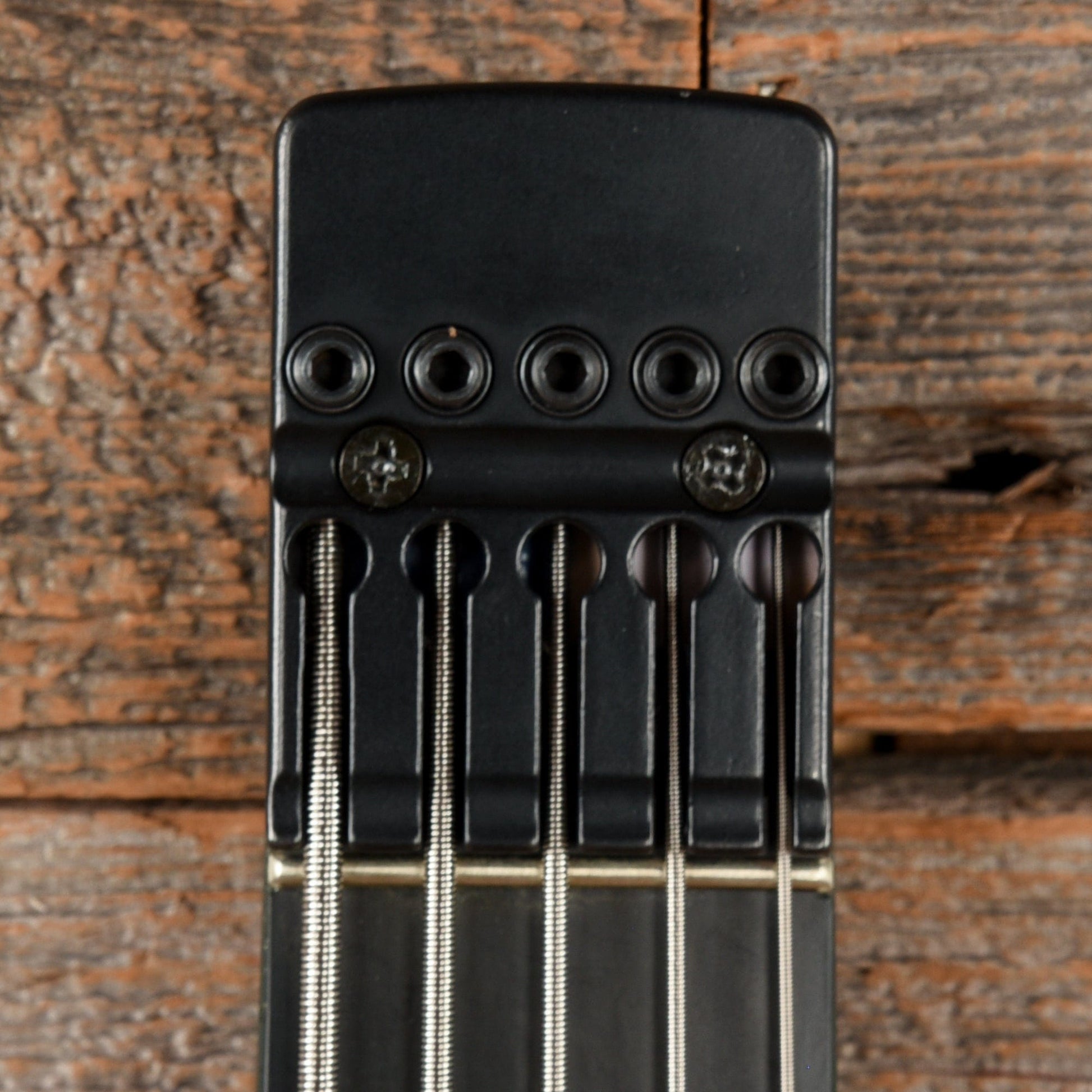 Steinberger Synapse 5-String Bass Blue Flame Bass Guitars / 5-String or More