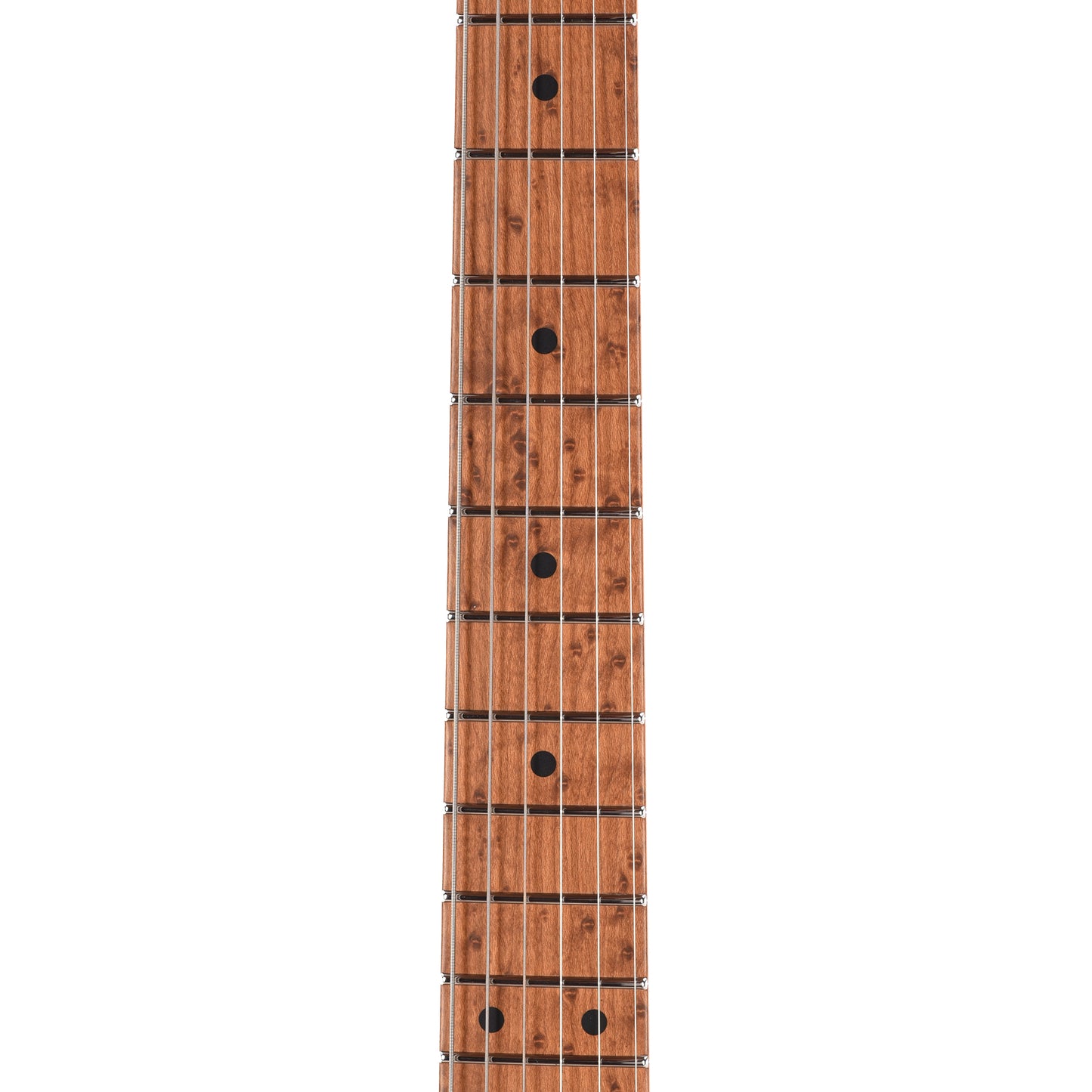 Suhr Custom Modern T Trans Algae w/CME-Selected Burl Maple Top Electric Guitars / Solid Body