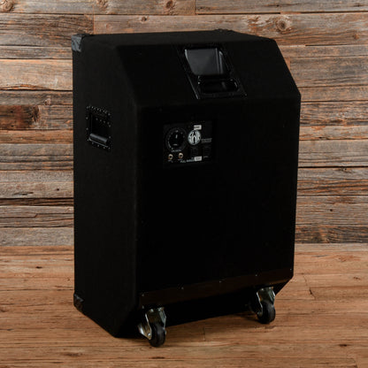 SWR Big Bertha 2x15 Bass Cabinet Amps / Bass Cabinets