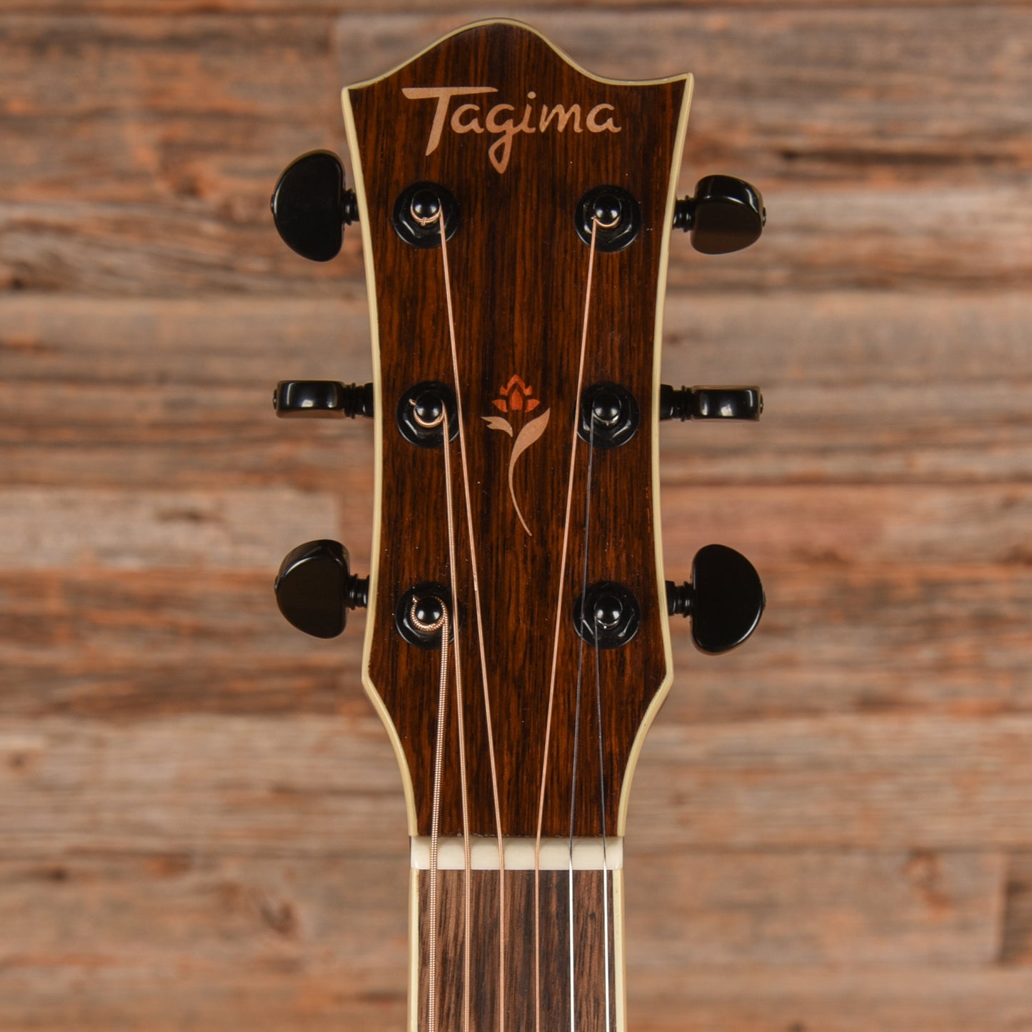 Tagima FS200EQ Natural Acoustic Guitars