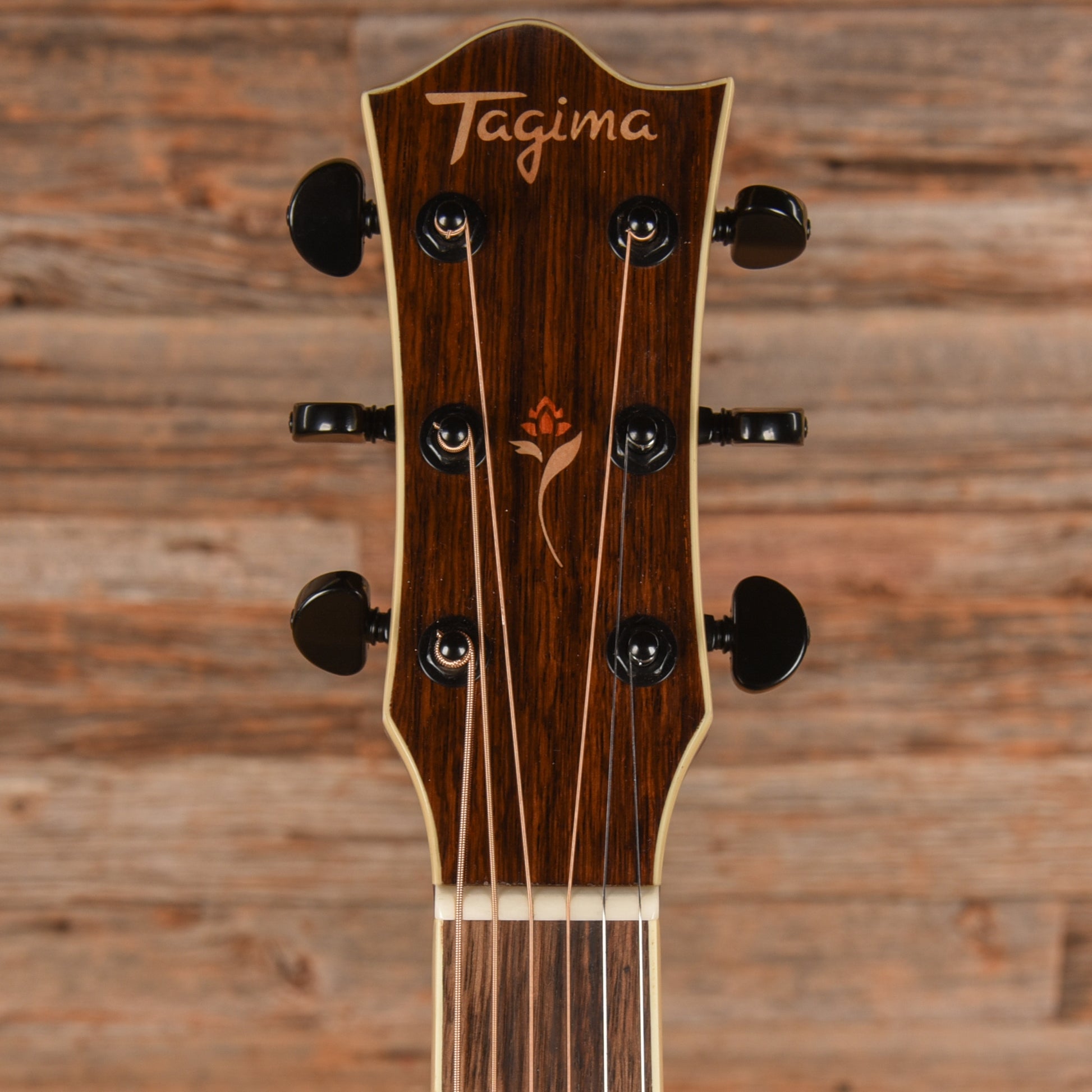Tagima FS200EQ Natural Acoustic Guitars
