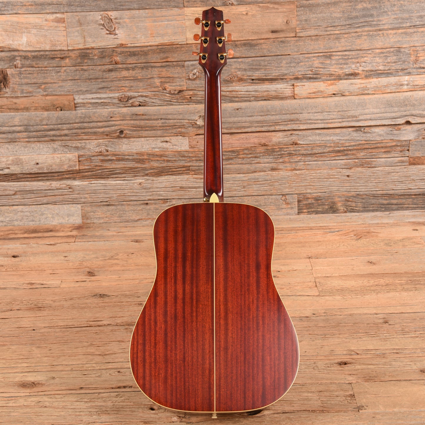 Takamine AN-10 Natural Acoustic Guitars / Dreadnought