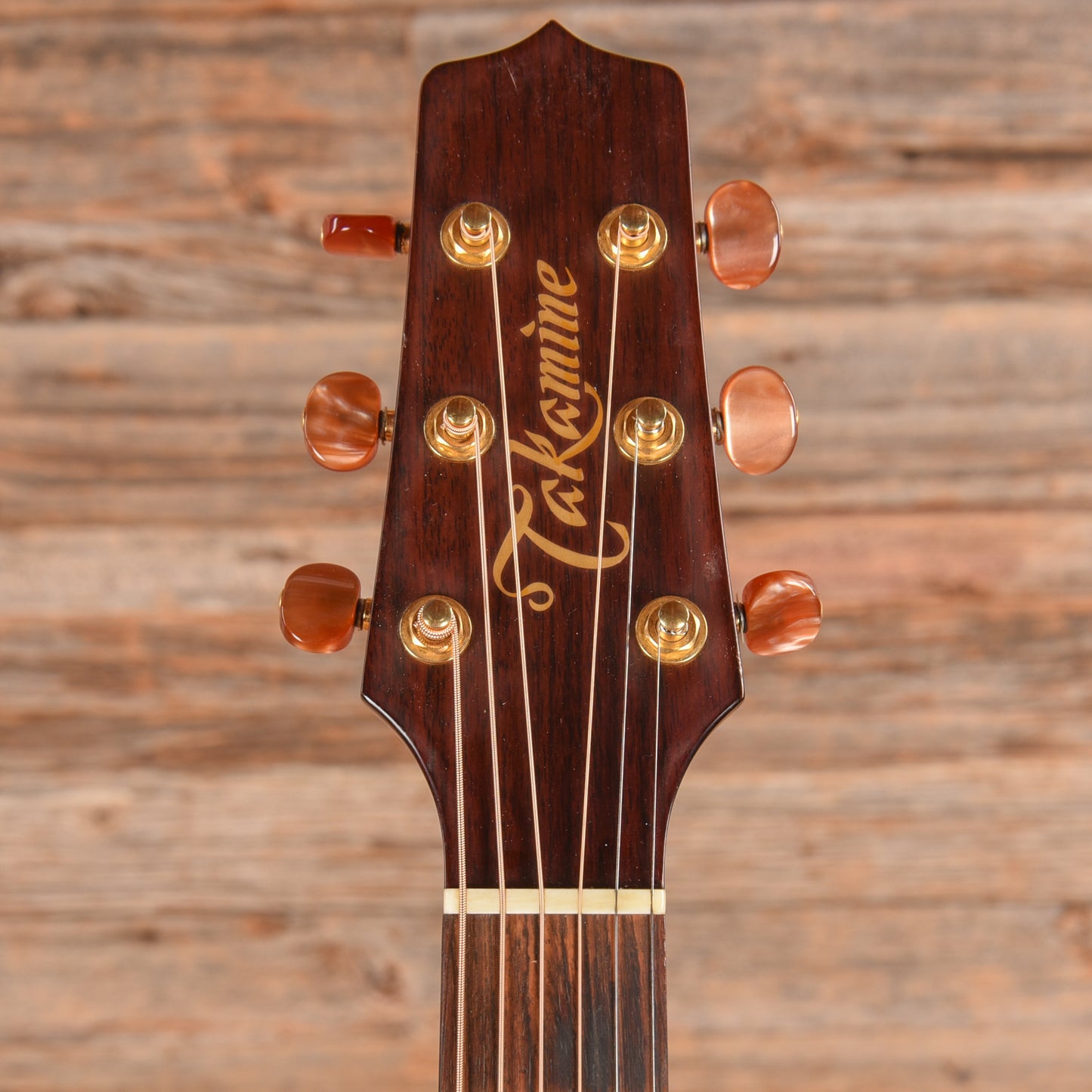 Takamine AN-10 Natural Acoustic Guitars / Dreadnought