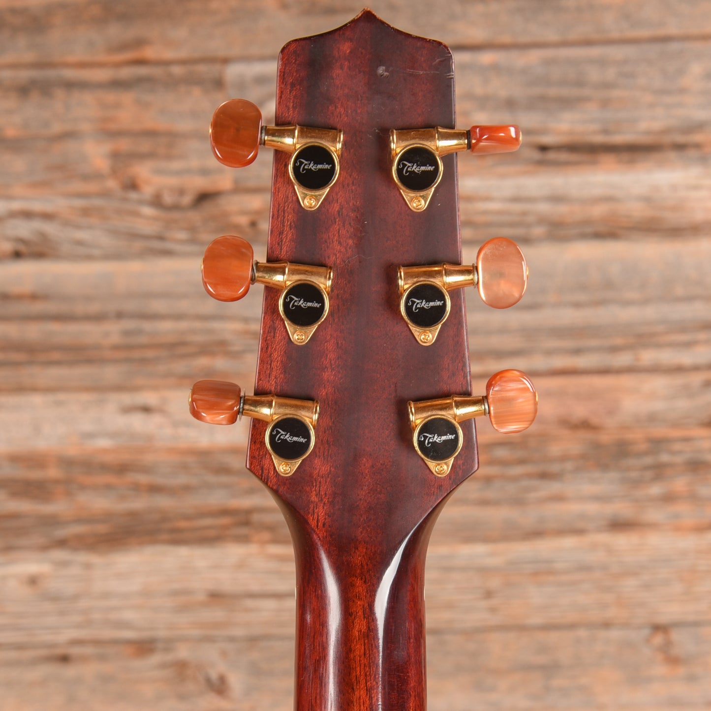 Takamine AN-10 Natural Acoustic Guitars / Dreadnought
