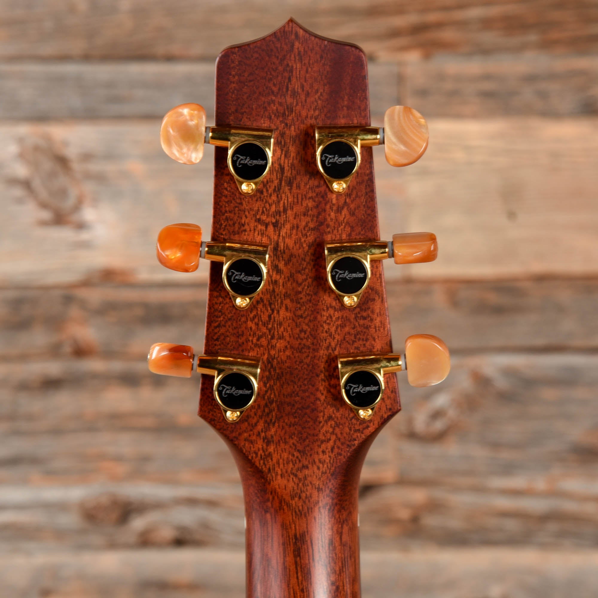 Takamine FN15 AR Natural 2023 Acoustic Guitars / Dreadnought