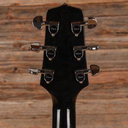 Takamine FP361SEC Black Burst Acoustic Guitars / Dreadnought
