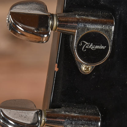Takamine FP361SEC Black Burst Acoustic Guitars / Dreadnought