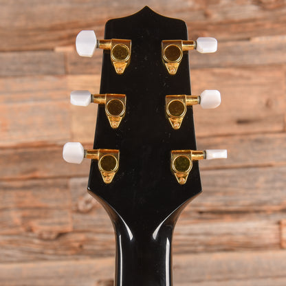 Takamine EG-341CE Black Acoustic Guitars / OM and Auditorium