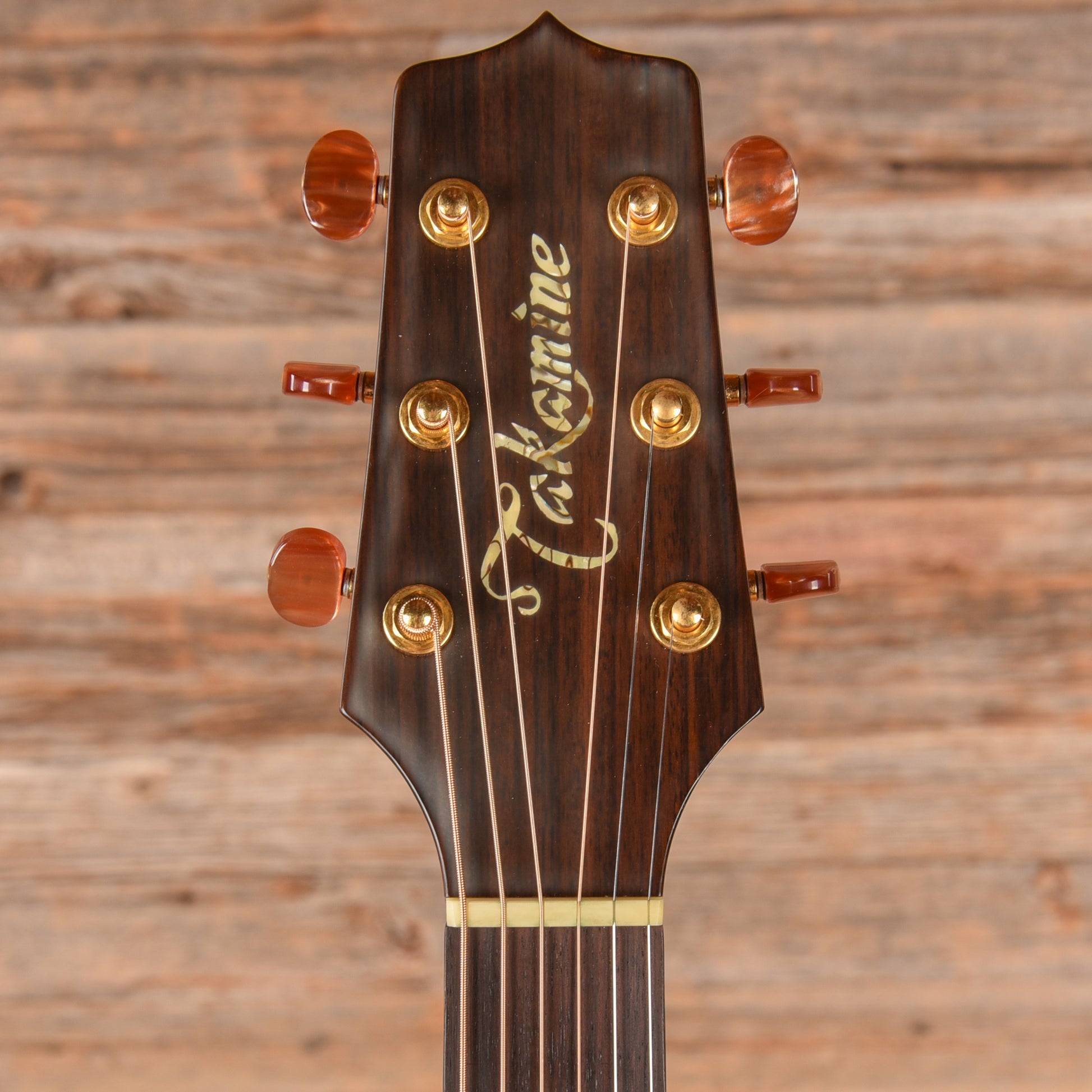 Takamine LTD 99 The Mountain Natural 1999 Acoustic Guitars