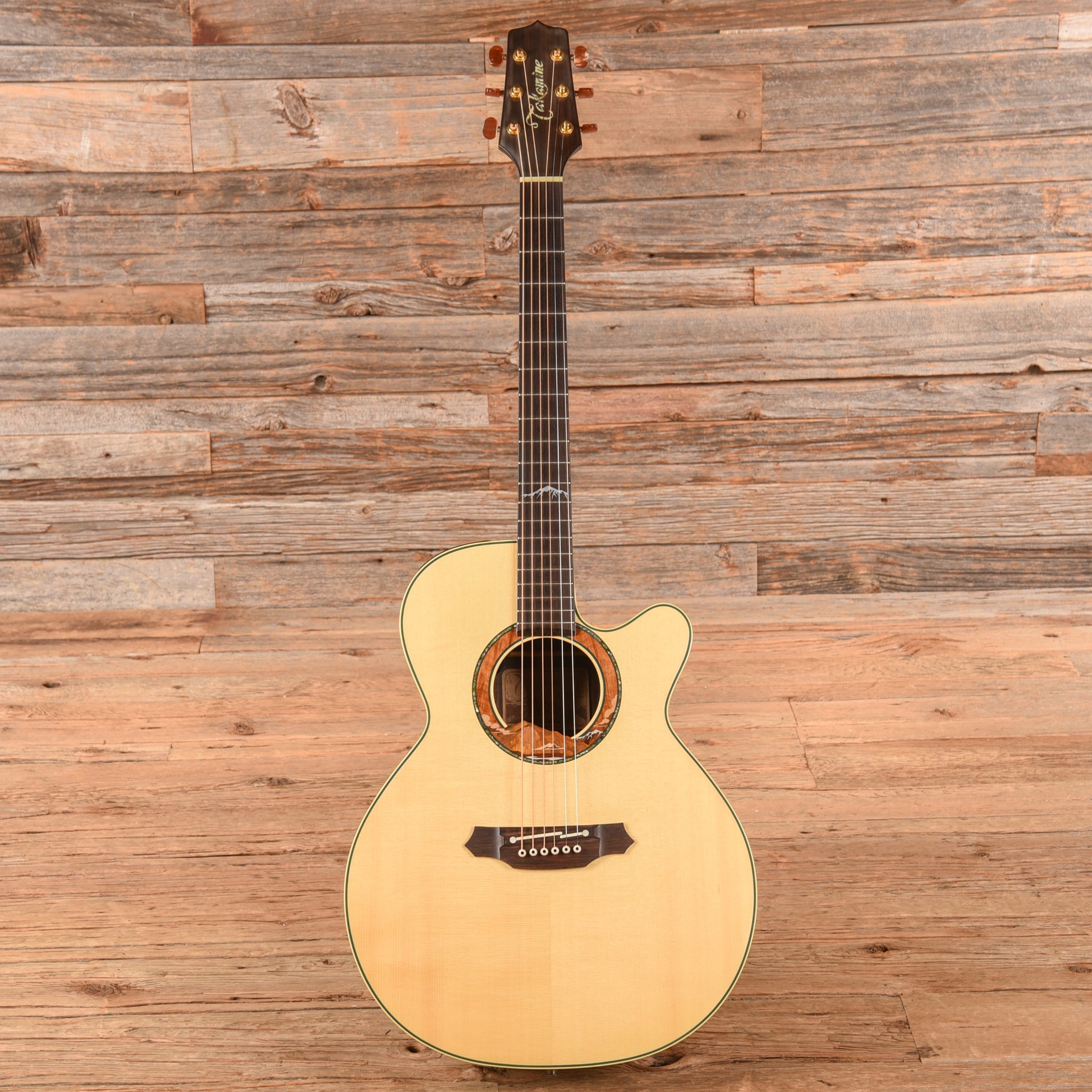 Takamine LTD 99 The Mountain Natural 1999 Acoustic Guitars