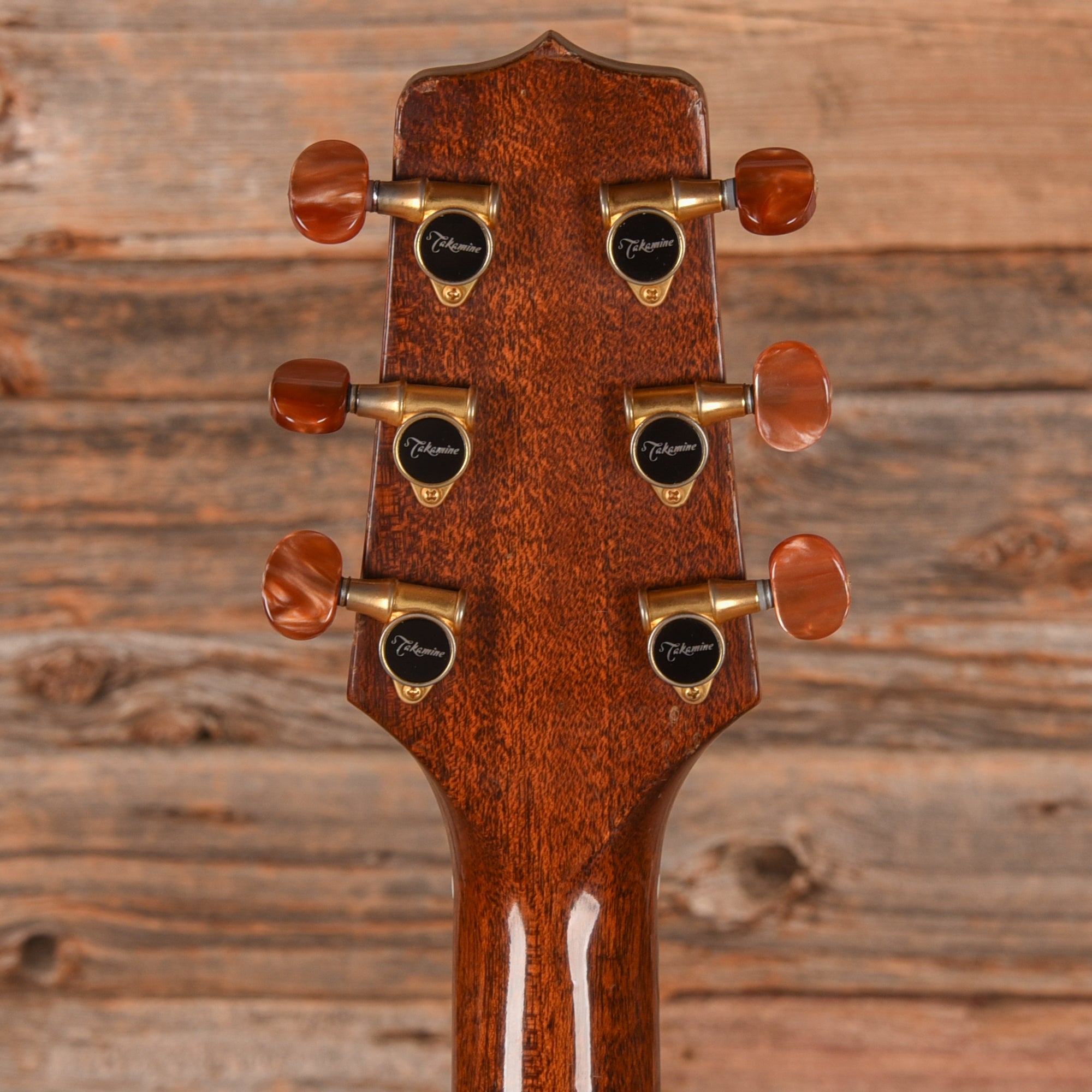 Takamine Santa Fe PSF-94 Natural 1994 Acoustic Guitars