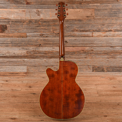 Takamine Santa Fe PSF-94 Natural 1994 Acoustic Guitars
