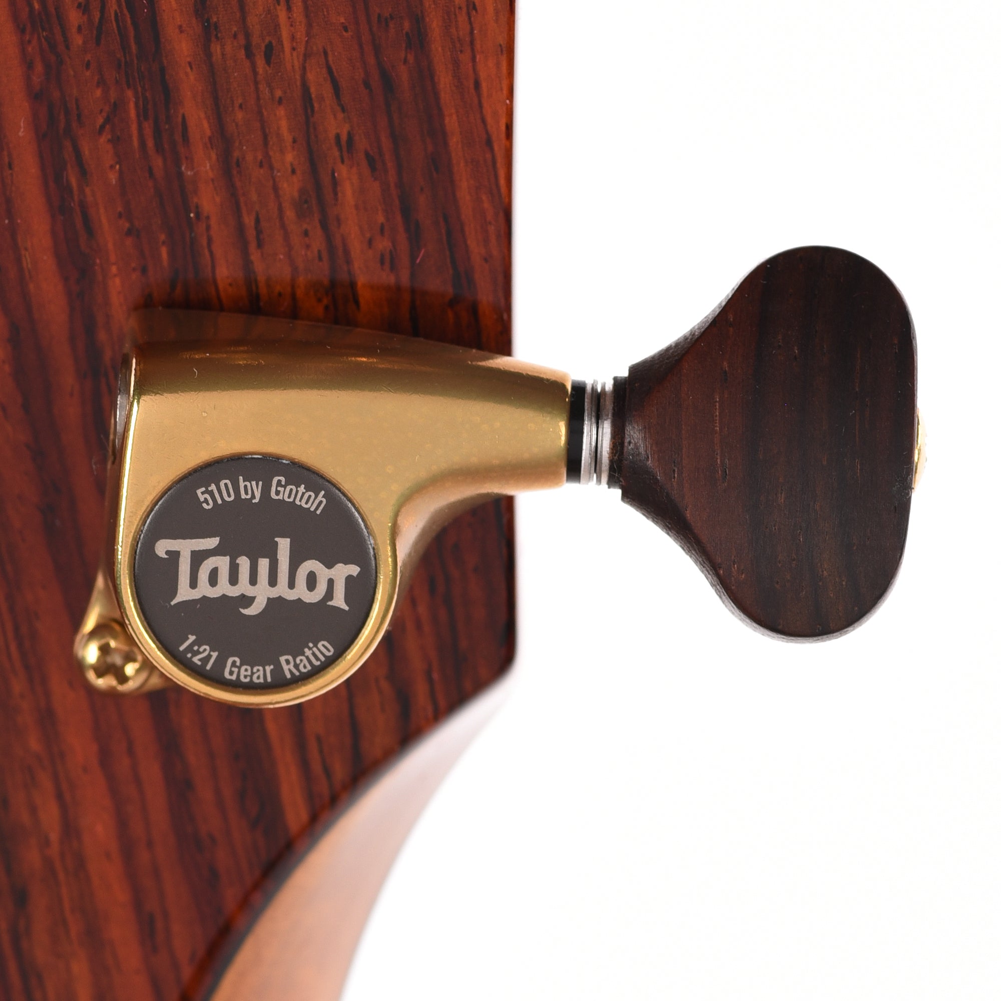 Taylor Custom 